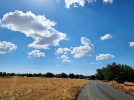 Land Parcel 15385 sm in Anogyra, Limassol