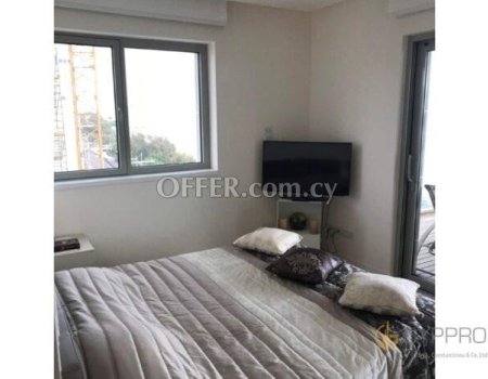 Luxury 3 Bedroom Apartment in Olympic Residence - 6