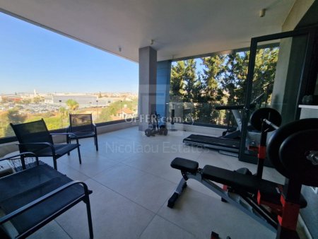 Two bedroom penthouse for rent in Germasogeia area of Limassol - 10