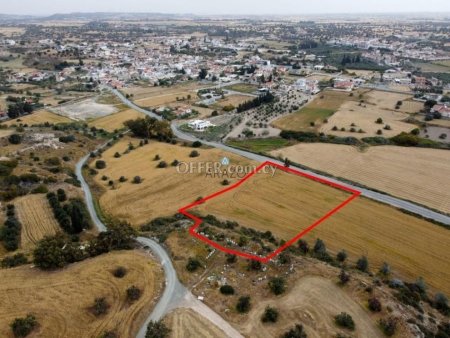 Field for Sale in Mazotos, Larnaca