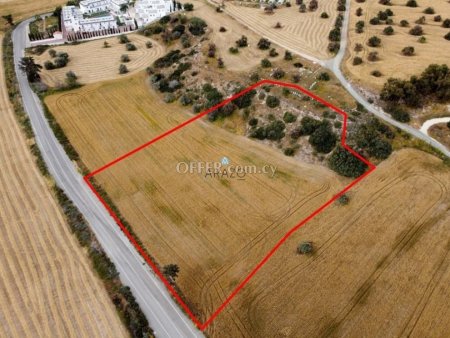 Field for Sale in Mazotos, Larnaca - 2