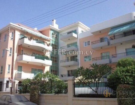 Luxury 3 Bedroom Penthouse + Studio in Katholiki Area