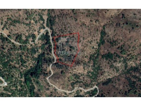 19287 sq.m. agricultural field for sale in Pedoulas Nicosia