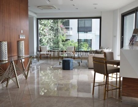 Luxury 2 Bedroom Apartment opposite the Beach - 9