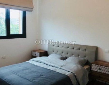 3 Bedroom Apartment in Potamos Germasogeias Area - 4
