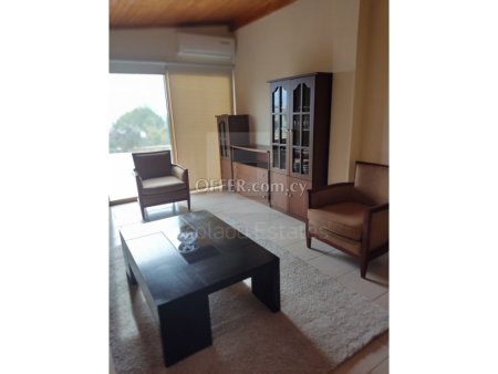 Three bedroom detached house for rent in Apesia village of Limassol District - 8