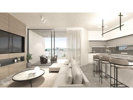 Brand new two bedroom Penthouse plus office with Roof Garden for sale in Acropolis Nicosia - 2