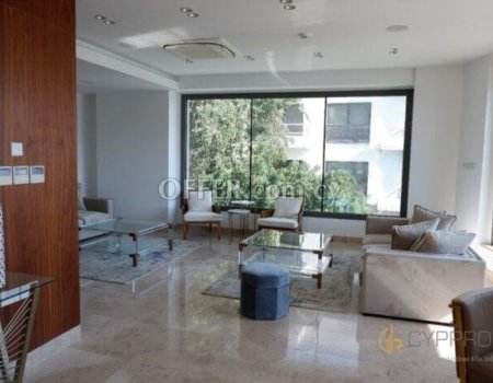 Luxury 3 Bedroom Apartment with Sea View in Mouttagiaka Area - 9