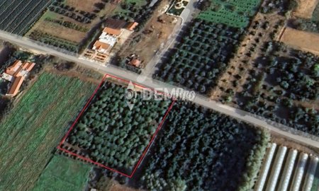 Agricultural Land For Sale in Emba, Paphos - DP2495 - 1