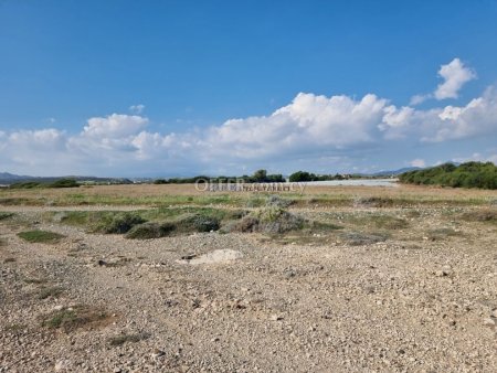 Field in Mazotos - 3