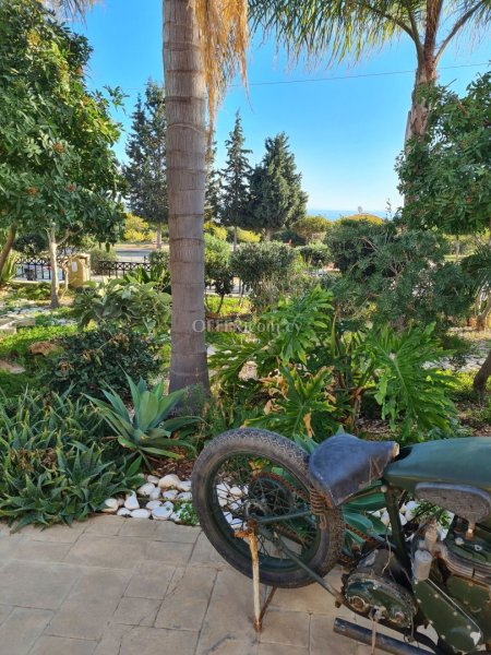 RESALE 5 BEDROOM VILLA WITH POOL AND MANICURED ESTABLISHED  GARDEN - 3