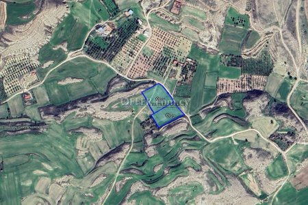 Two Fields For Sale in Aradippou