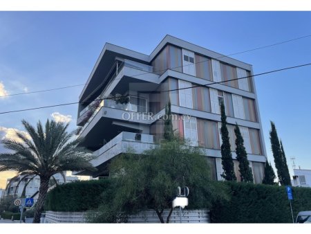 Ground floor four bedroom apartment with 218 sq.m. yard for sale in Likavitos Nicosia - 4