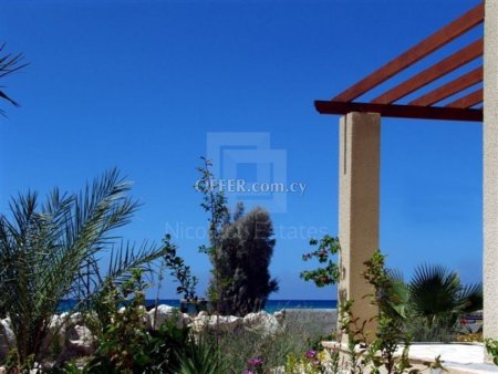Two bedroom villa for sale in Poli Chrysochous village Paphos - 3