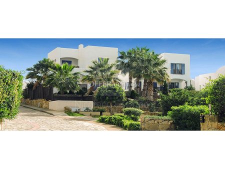 New luxury four bedroom villa for sale in Chloraka area Paphos - 4
