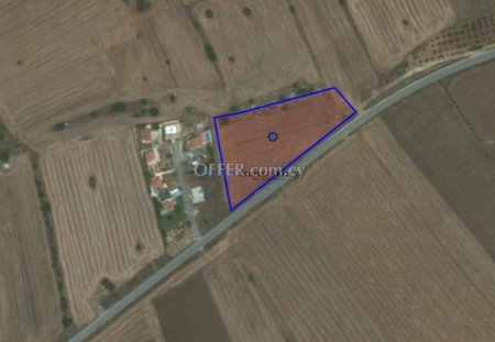 Development Land in Mazotos - 2