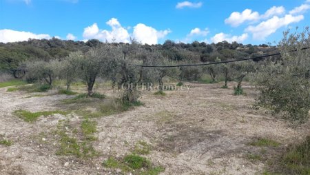 New For Sale €239,000 Land Choirokoitia Larnaca - 8