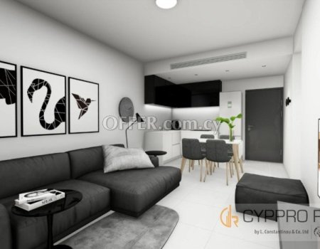 1 Bedroom Apartment in Agios Spyridonas - 3