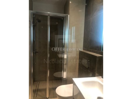 Two bedroom apartment plus office in Nicosia city center - 4