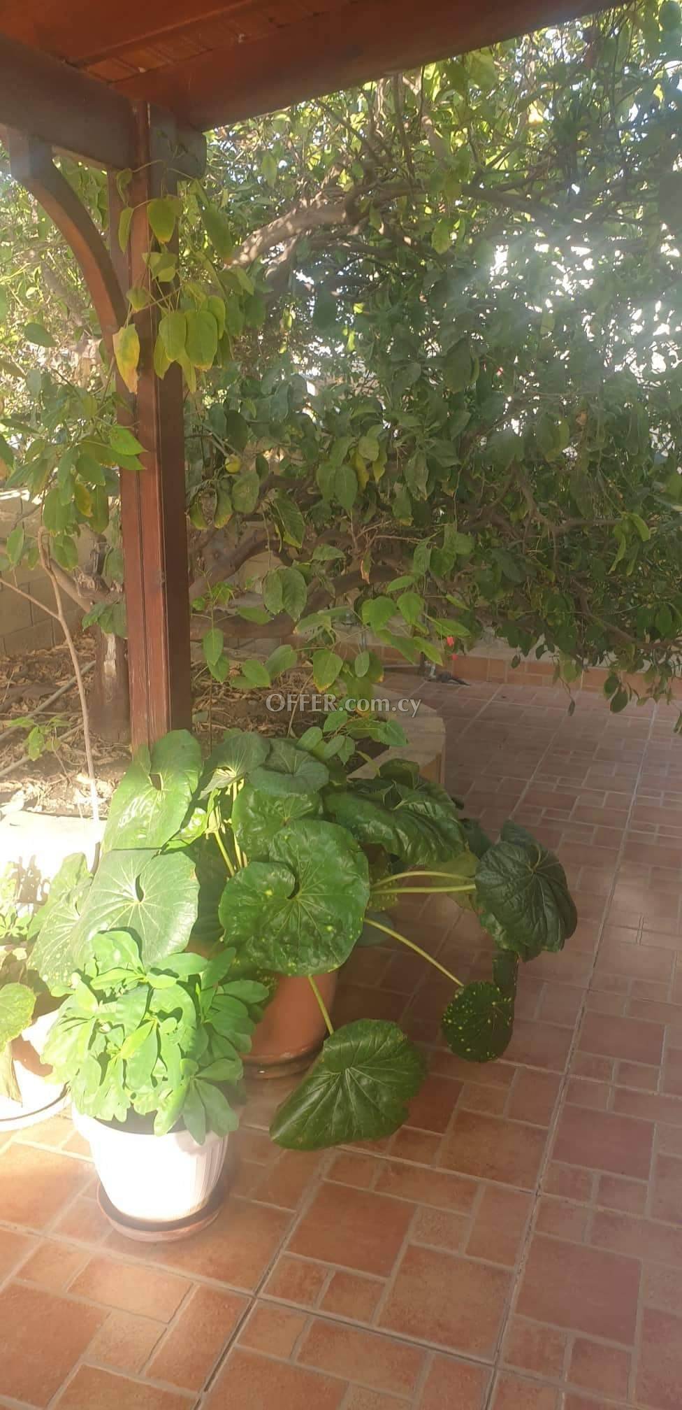 New For Sale €135,000 House (1 level bungalow) 2 bedrooms, Alethriko Larnaca - 7