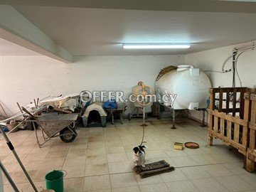 3 Bedroom House  In Pera Oreinis, Nicosia - 3