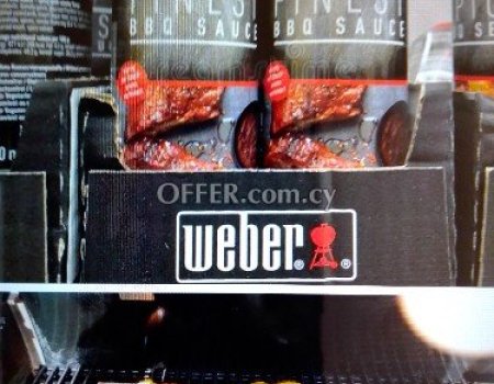 Weber grill Gas barbecue service repairs and all any other brands