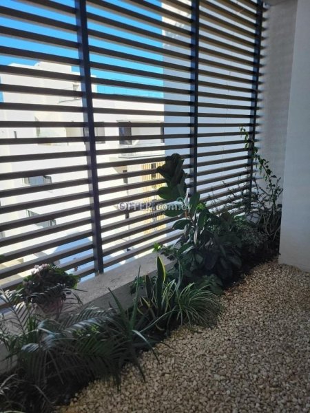 3 Bedroom Penthouse For Sale Limassol - 11
