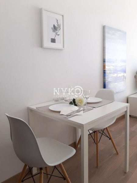 1 bedroom apartment furnished - 16