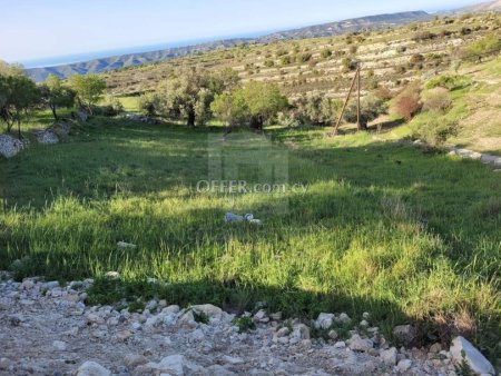 Residential plot for sale in Lofou - 4