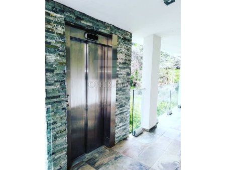 Luxury six bedroom villa for sale in Kakopetria village - 2