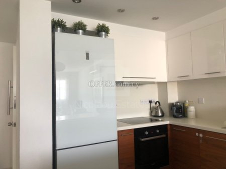 Two bedroom Penthouse in Aglantzia area Nicosia - 3