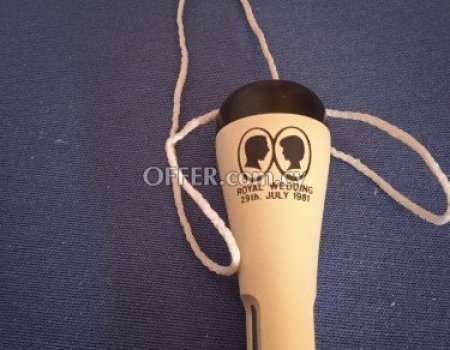 Parker neck hanging pen of royal wedding 1981, without the box. - 2