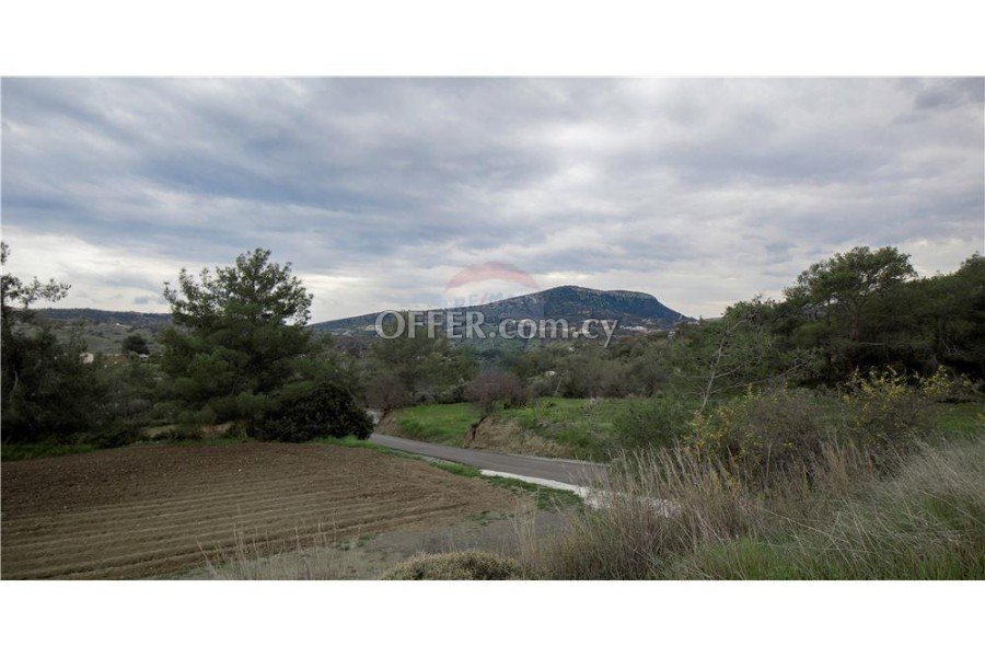 Amazing Forest Land of 24,415sqm in Foinikaria - 5