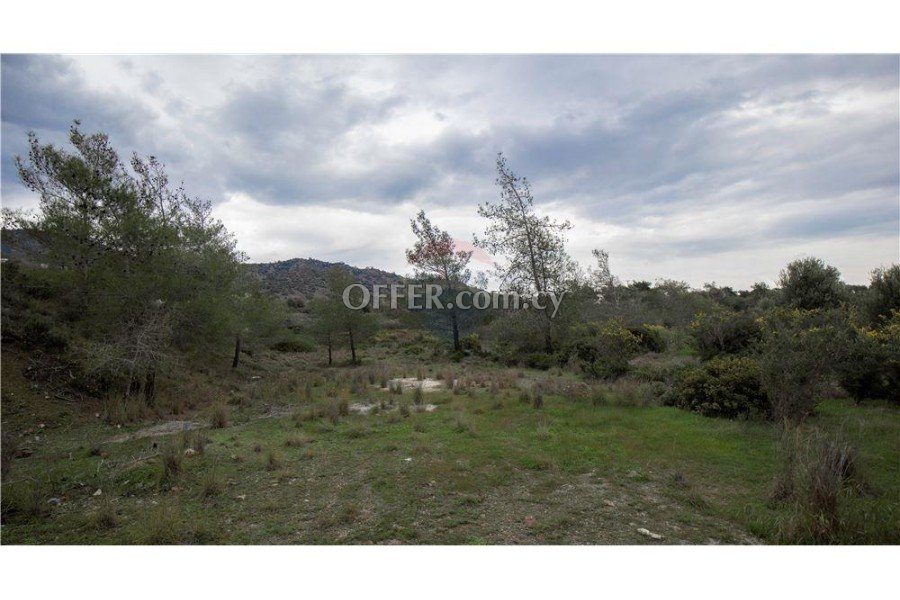 Amazing Forest Land of 24,415sqm in Foinikaria - 1
