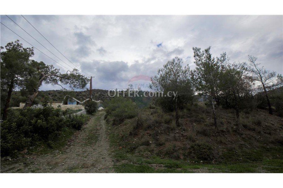 Amazing Forest Land of 24,415sqm in Foinikaria - 2
