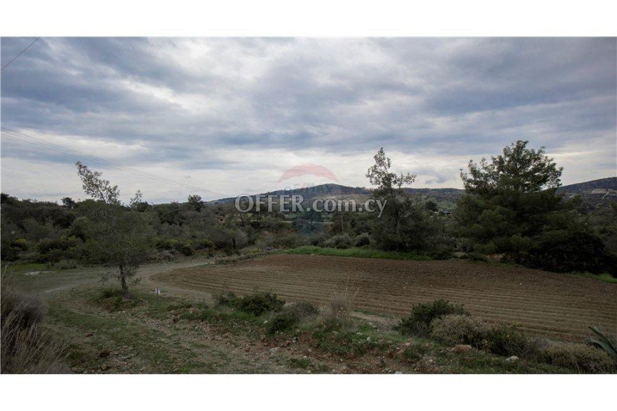 Amazing Forest Land of 24,415sqm in Foinikaria - 4
