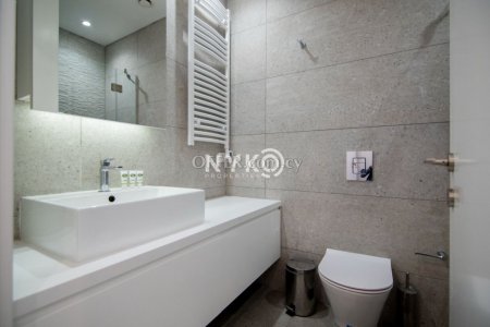 2 bedroom apartment furnished - 2