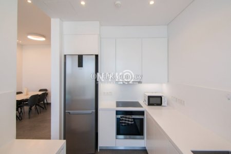 2 bedroom apartment furnished - 8