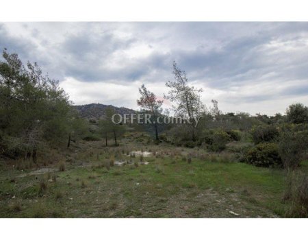 Amazing Forest Land of 24,415sqm in Foinikaria - 1