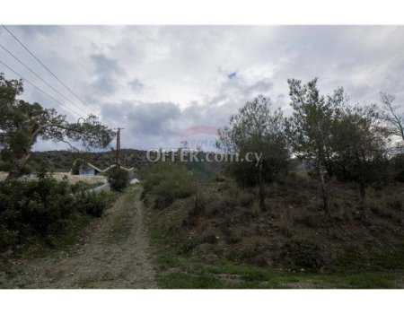 Amazing Forest Land of 24,415sqm in Foinikaria - 2