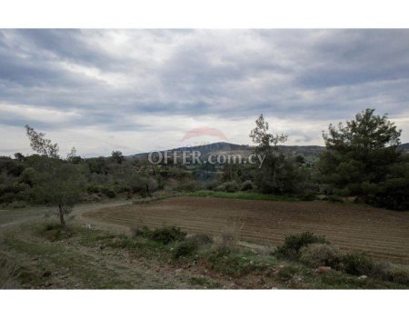 Amazing Forest Land of 24,415sqm in Foinikaria - 4