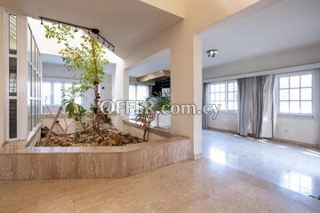 4 bedroom house in Chryseleousa, Strovolos - 7
