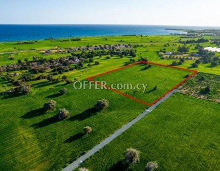 (For Sale) Land Agricultural Land || Larnaka/Mazotos - 9.235 Sq.m, 135.000€