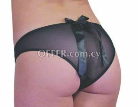 Baci Women Lingerie Sexy Panties Transparent Brief Underwear 4003 One Size S-M-L - 2