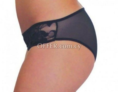 Baci Sexy Panties Transparent Brief Underwear 4017 One Size - 2
