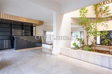 4 bedroom house in Chryseleousa, Strovolos - 2