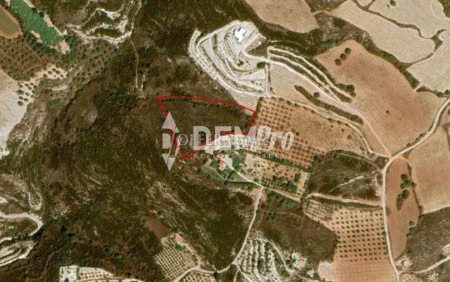 Agricultural Land For Sale in Armou, Paphos - DP3082 - 1