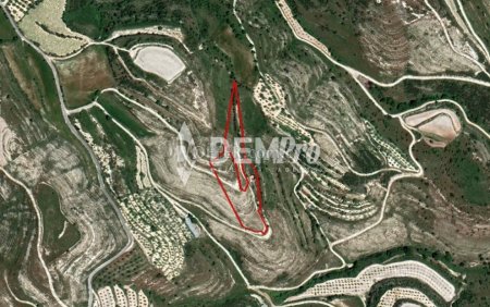Agricultural Land For Sale in Tsada, Paphos - DP3081