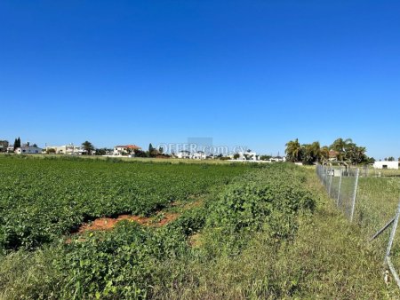 Shared Residential field in Frenaros - 4