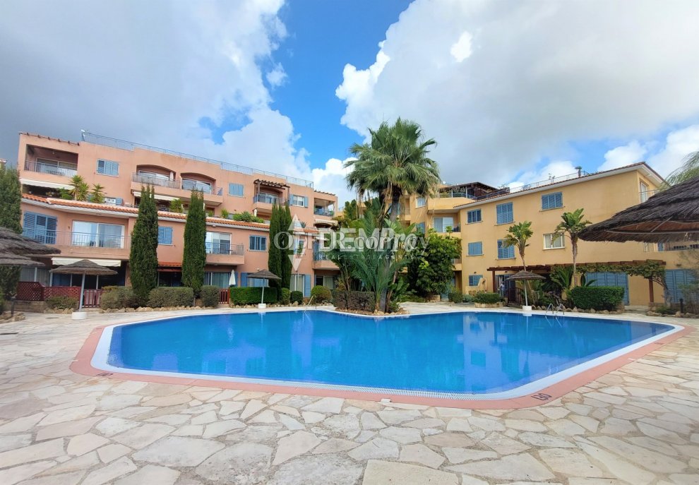 Apartment For Sale in Peyia, Paphos - DP2608 - 1